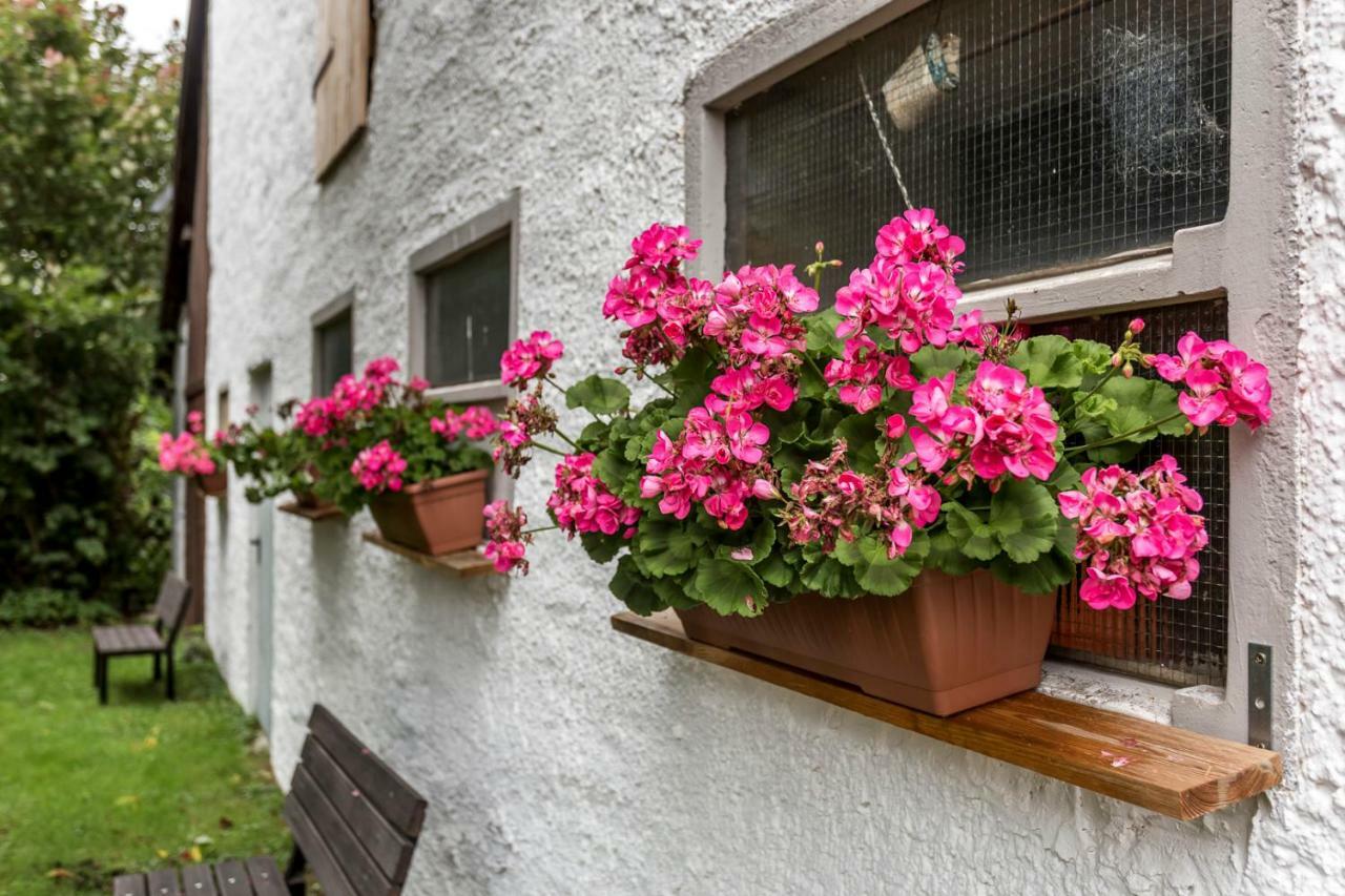 Vila Pure Eifel Oberkail Exteriér fotografie
